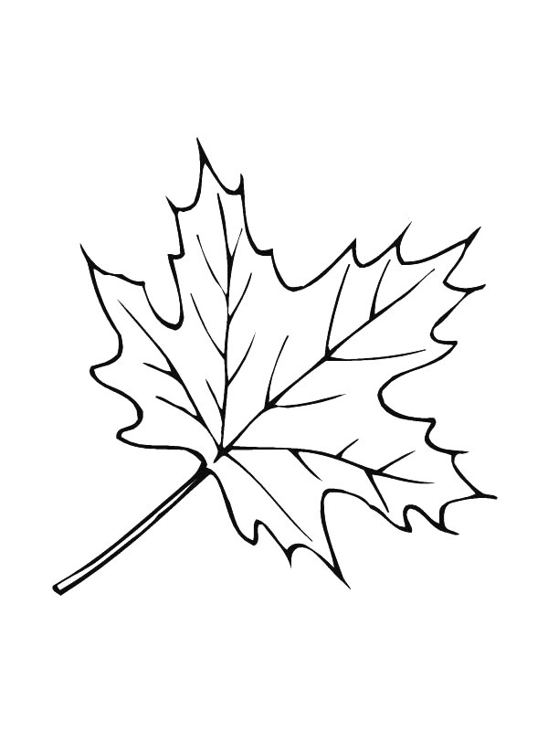 Plansa de colorat cu Frunze 29 22